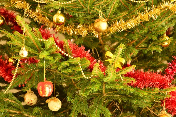 França Perto Uma Árvore Natal Uma Casa — Fotografia de Stock