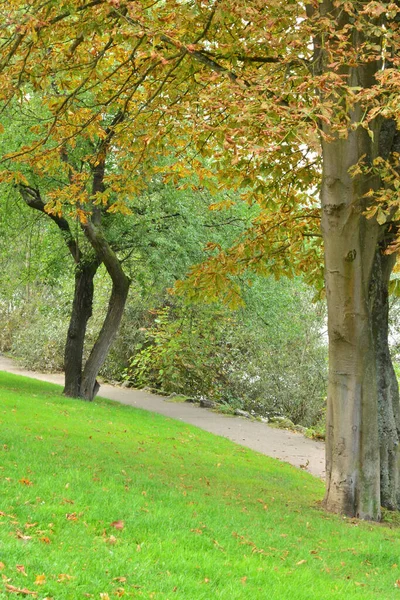 Ile France Pittoresque Rive Seine Aux Mureaux — Photo