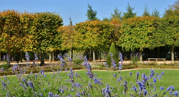 Ile France Jardin Grand Trianon Dans Parc Château Versailles — Photo