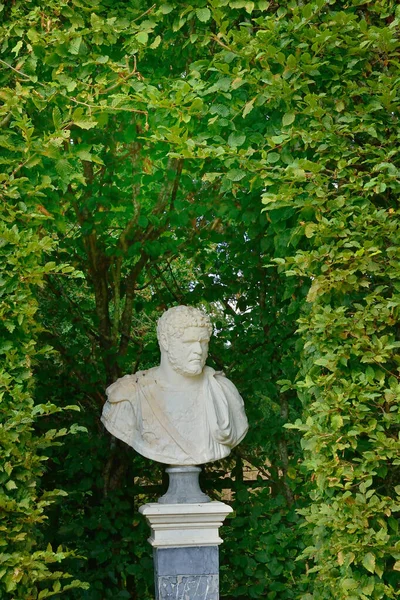 Versailles Francia Agosto 2015 Statua Nel Parco Del Grand Trianon — Foto Stock