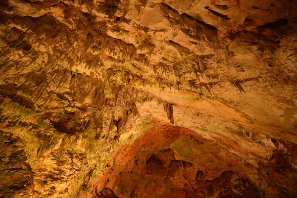 Eslovénia Pitoresca Histórica Caverna Postojna — Fotografia de Stock