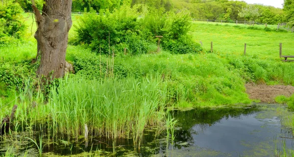 Ile France Damm Nära Ecancourt Farm Jouy Moutier — Stockfoto