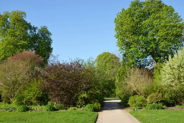 Ile France Malowniczy Park Zamkowy Saint Germain Laye — Zdjęcie stockowe