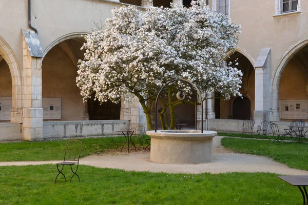 França Mosteiro Brou Bourg Bresse Ain — Fotografia de Stock