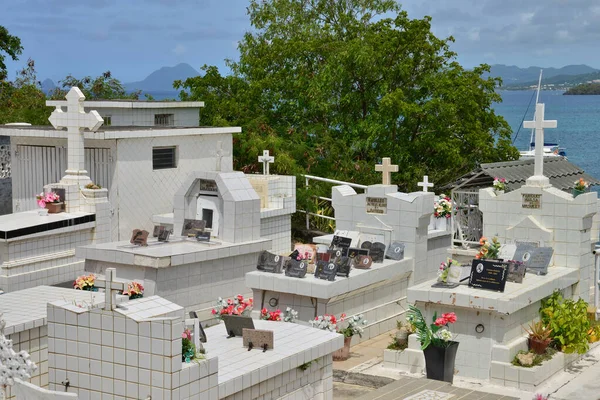 Martinica Pittoresco Cimitero Sainte Anne Nelle Indie Occidentali — Foto Stock