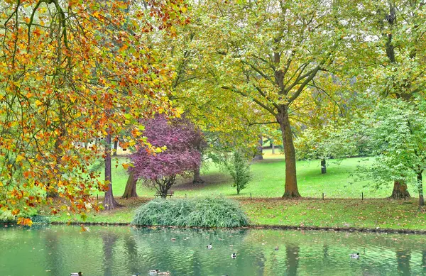 Poissy França Outubro 2016 Pitoresco Parque Messonier — Fotografia de Stock