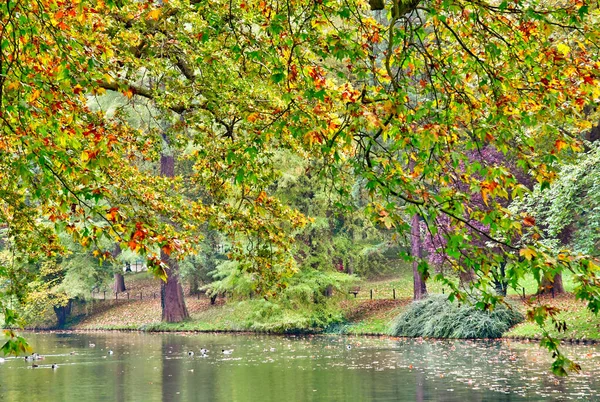 Poissy Francia Ottobre 2016 Pittoresco Parco Messonier — Foto Stock