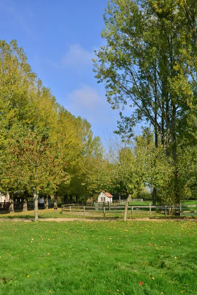 França Pitoresco Poney Club Bois Guilbert Normandia — Fotografia de Stock