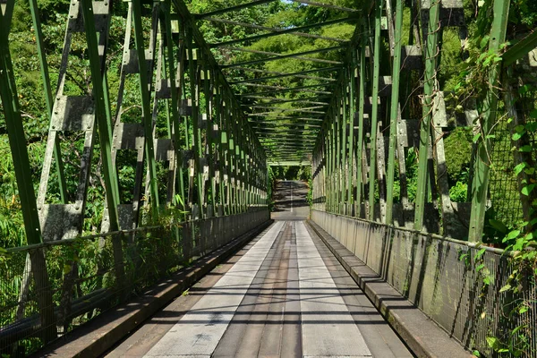 Martinique Picturesque Bridge Grand Riviere West Indies — Stock Photo, Image