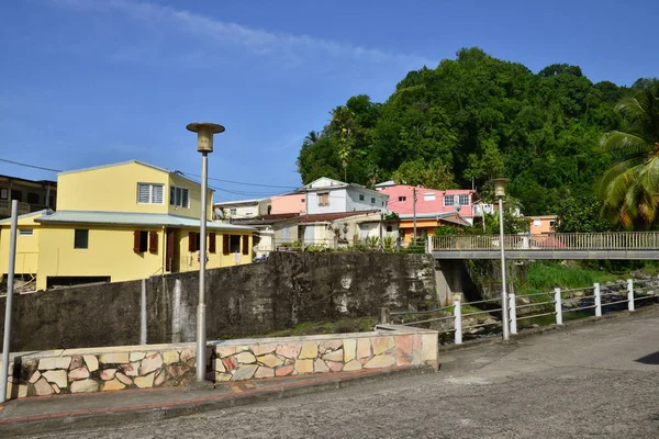 Martinique Batı Hint Adaları Ndaki Grand Riviere Pitoresk Köyü — Stok fotoğraf