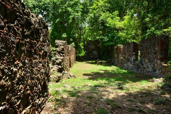 Martinica Pitoresca Ruína Castelo Dubus Nas Índias Ocidentais — Fotografia de Stock