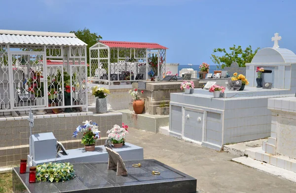 Martinica Pittoresco Cimitero Sainte Anne Nelle Indie Occidentali — Foto Stock