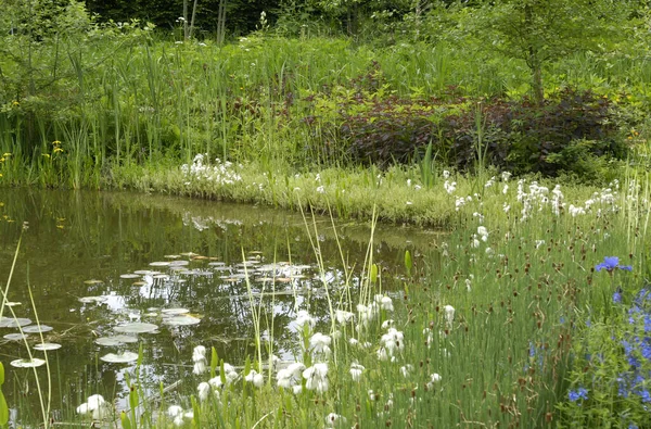 Garden France — Stock Photo, Image