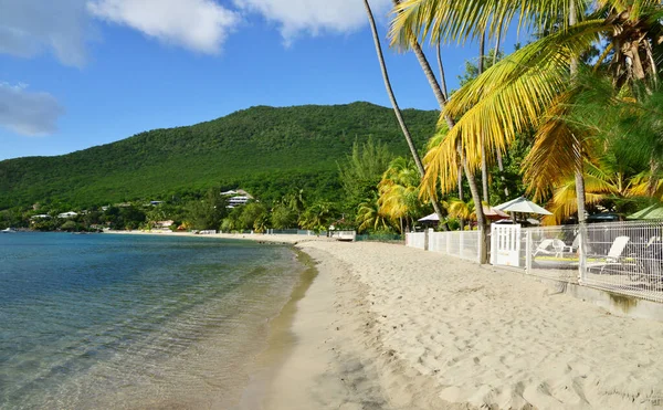 Martinique Den Pittoreska Byn Les Anses Arlet Västindien — Stockfoto