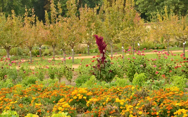 Ile France Picturesque Garden Castle Roche Guyon — Stock Photo, Image