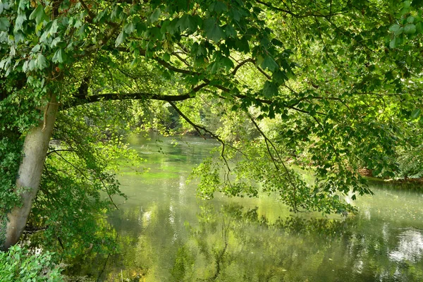 Normandie Epte Floden Den Maleriske Landsby Fourges Eure - Stock-foto