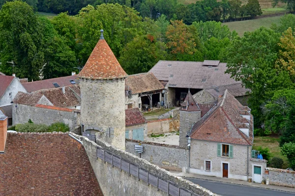 Blandy Les Tours Francia Agosto 2020 Storico Castello Del Xiii — Foto Stock