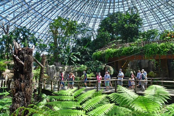 Saint Aignan Frankrike Juli 2020 Kupolen Den Zoologiska Parken Beauval — Stockfoto