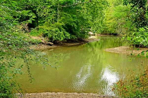 Olivet France July 2020 Loiret Banks — 图库照片