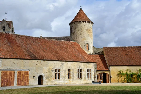 Blandy Les Tours France Août 2020 Château Historique Xiiie Siècle — Photo