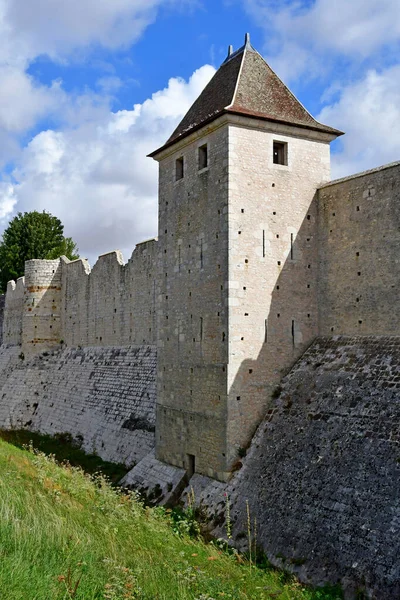 Provins Frankreich August 2020 Die Stadtmauern — Stockfoto