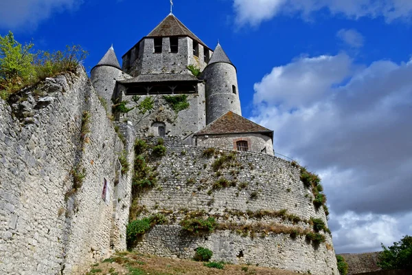 Provins France August 2020 Вежа Цезарів — стокове фото