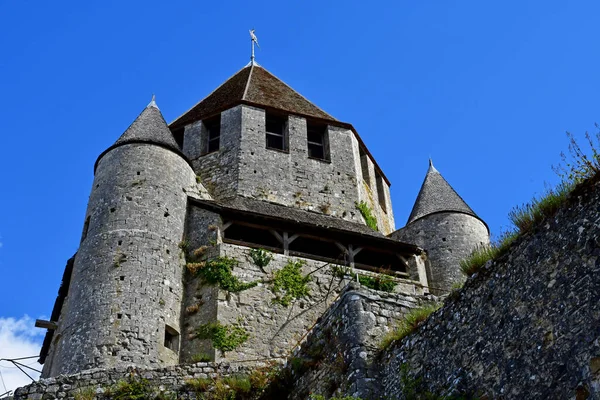 Provins Francia Agosto 2020 Torre Del César — Foto de Stock