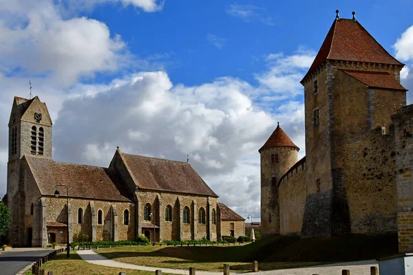 Blandy Les Tours Frankreich August 2020 Das Historische Schloss Und — Stockfoto