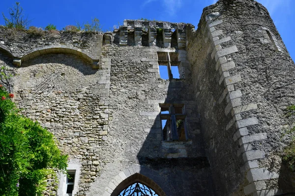 Montresor França Julho 2020 Castelo Histórico — Fotografia de Stock