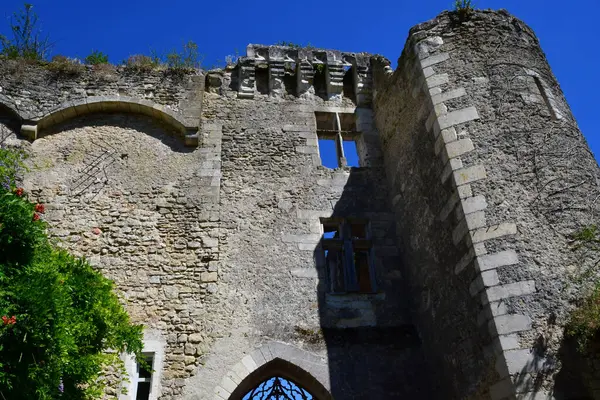 Montresor 프랑스 July 2020 Historical Castle — 스톡 사진