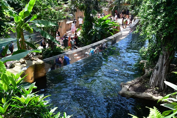 Saint Aignan Frankrike Juli 2020 Kupolen Den Zoologiska Parken Beauval — Stockfoto