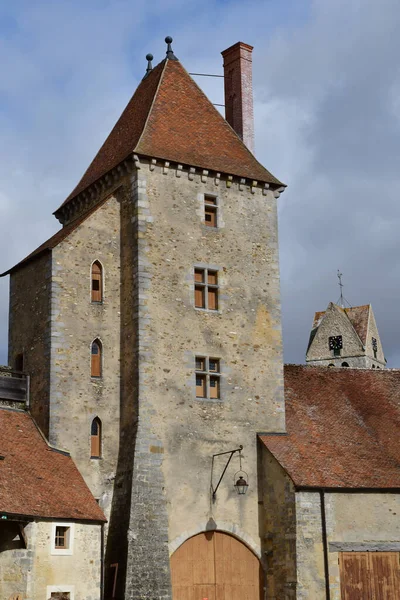 Blandy Les Tours Francia Agosto 2020 Castillo Histórico Del Siglo — Foto de Stock