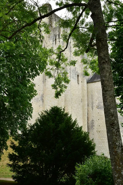 Loches France July 2020 Доньйон — стокове фото