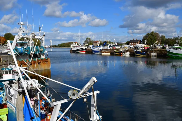 Honfleur France Août 2020 Bateaux Dans Port — Photo