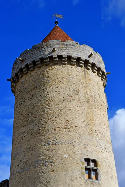 Blandy Les Tours Fransa Ağustos 2020 Yüzyılın Tarihi Kalesi — Stok fotoğraf