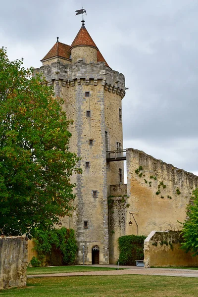 Blandy Les Tours Frankreich August 2020 Das Historische Schloss Aus — Stockfoto