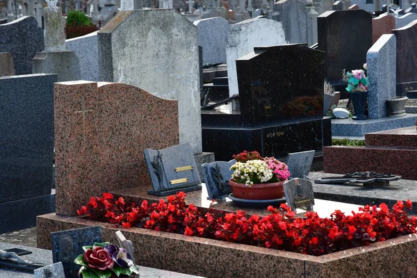 Saint Malo Francia Settembre 2020 Cimitero — Foto Stock