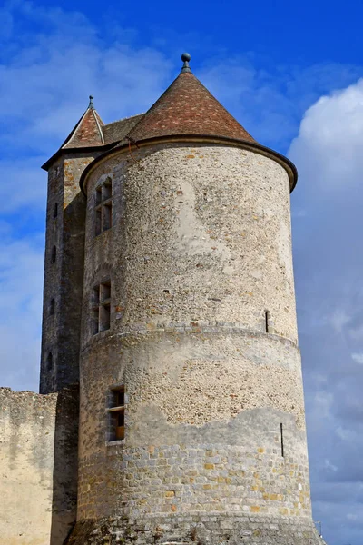 Blandy Les Tours Fransa Ağustos 2020 Yüzyılın Tarihi Kalesi — Stok fotoğraf