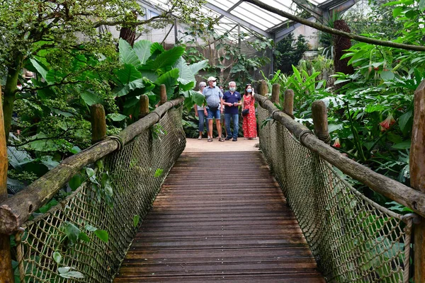 Saint Aignan Francia Luglio 2020 Voliera Nel Parco Zoologico Beauval — Foto Stock