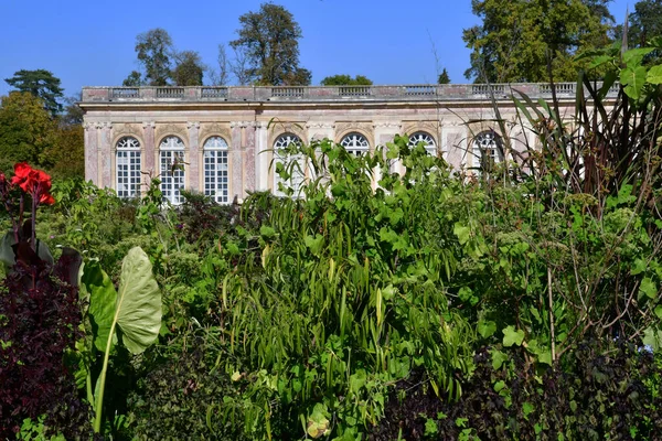 Versailles France September 2020 Grand Trianon Garden Marie Antoinette Estate — Stock Photo, Image