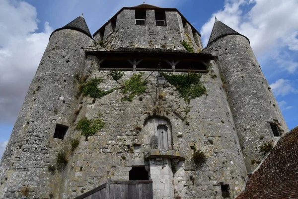 Provins France August 2020 Вежа Цезарів — стокове фото