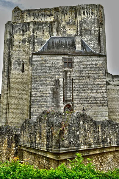 Loches Frankrijk Juli 2020 Donjon — Stockfoto