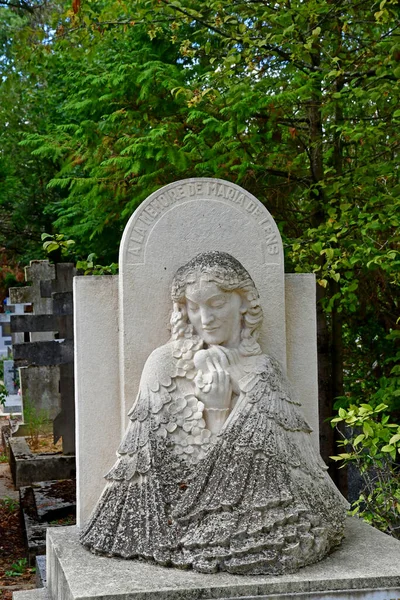 Sainte Genevieve Des Bois France August 2020 Picturesque Russian Cemetery — Stock Photo, Image