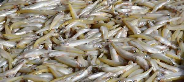 Honfleur France August 2020 Close Smelts — 图库照片