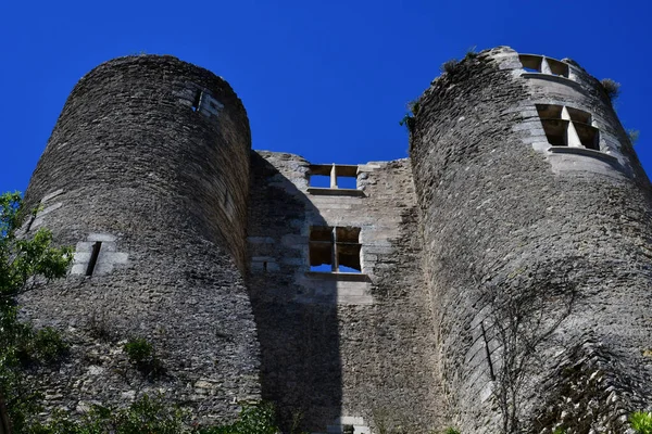 Монтрекор Франція Джулі 2020 Історичний Замок — стокове фото