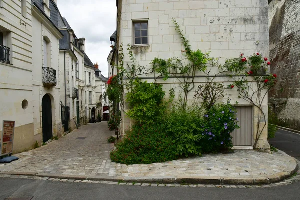 Loches Frankrike Juli 2020 Den Pittoreska Staden — Stockfoto