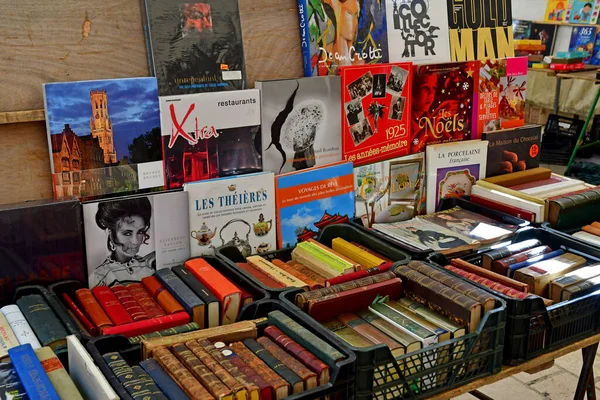 Saint Germain Laye Francia Agosto 2020 Libro Mercado Dominical —  Fotos de Stock