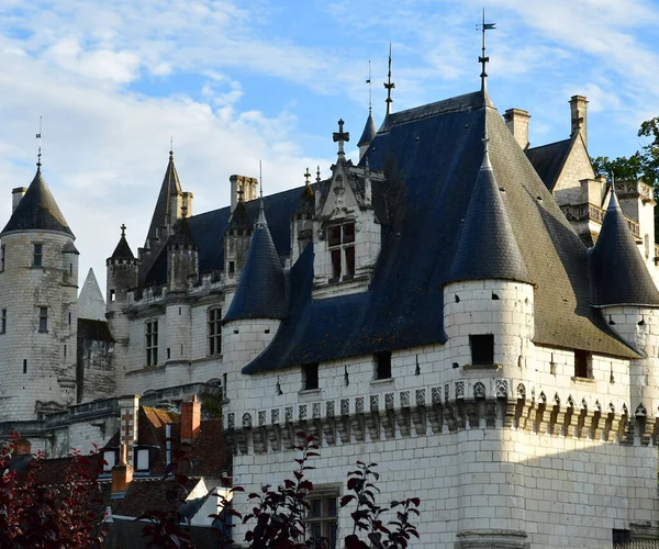 Loches Francie Červenec 2020 Porte Des Cordeliers — Stock fotografie