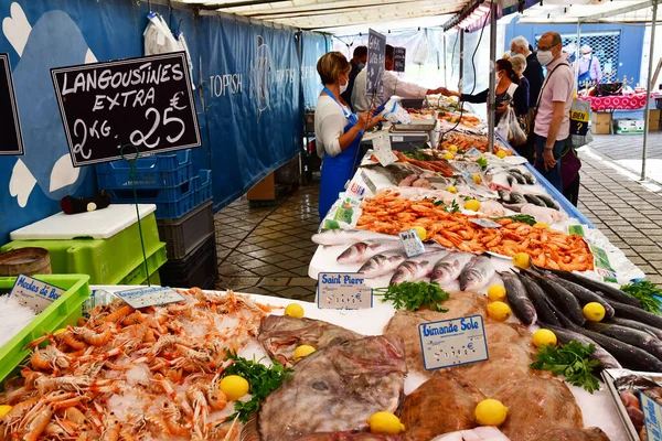 Saint Germain Laye Frankreich August 2020 Fisch Auf Dem Sonntäglichen — Stockfoto