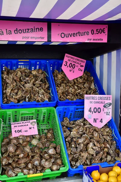 Cancale Frankreich September 2020 Der Malerische Austernmarkt — Stockfoto